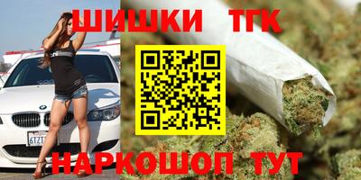 индика Краснознаменск