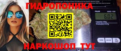 PSILOCYBIN Краснодар